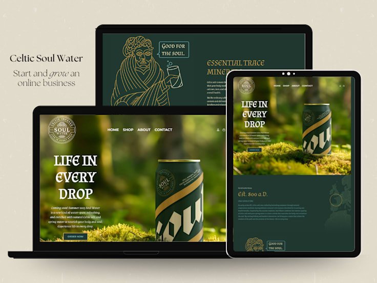 Celtic Soul Water — project by Digital Surgeons Hub